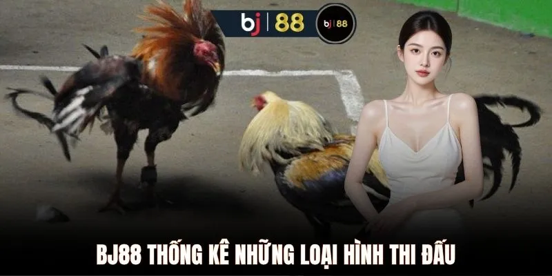 BJ88 thống kê những loại hình thi đấu