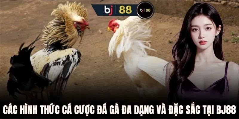 Các hình thức cá cược đá gà đa dạng và đặc sắc tại BJ88