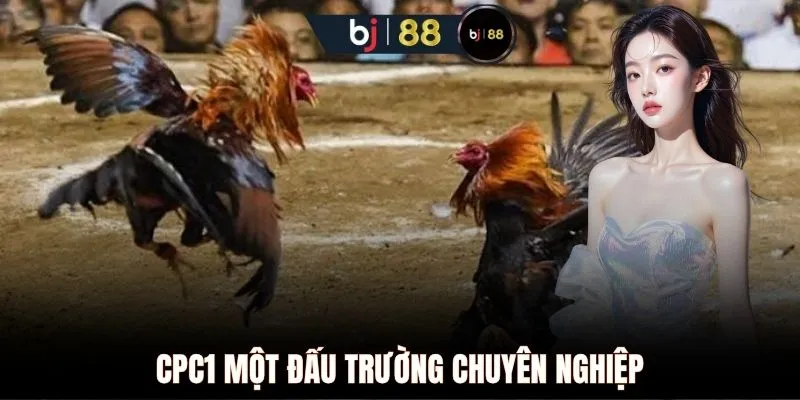 CPC1 một đấu trường chuyên nghiệp