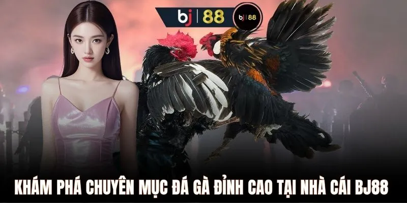 Khám phá chuyên mục đá gà đỉnh cao tại nhà cái BJ88