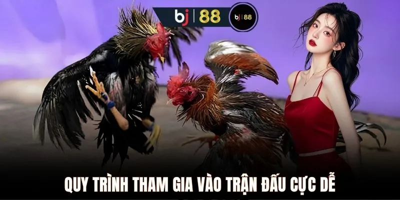 Quy trình tham gia vào trận đấu cực dễ